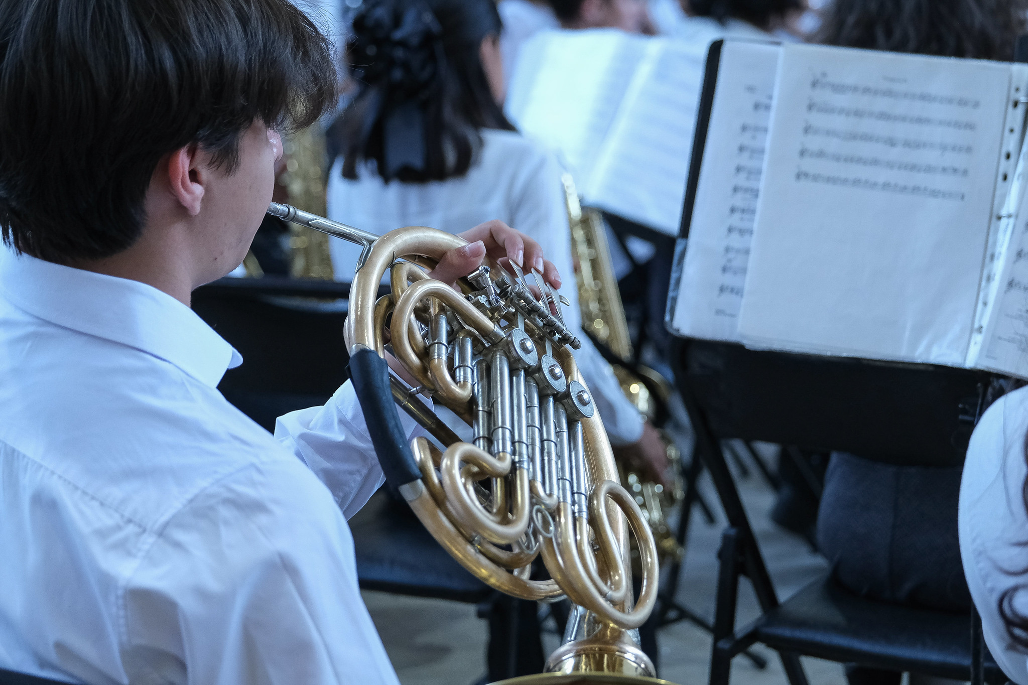 Concierto a beneficio y homenaje a Paco Padilla, la próxima presentación del programa musical ECOS